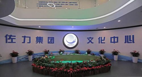 高新技術企業(yè)佐力集團 開拓市場實現網絡科技領域發(fā)展新跨越