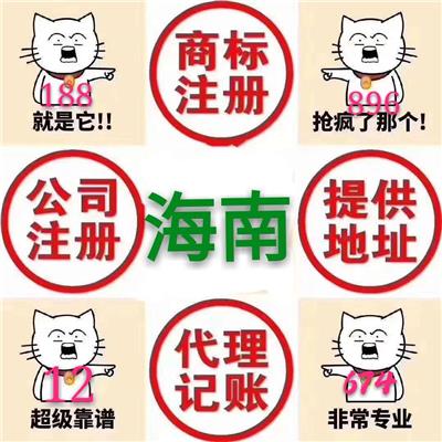 中國公司注冊與管理全攻略 從名錄查詢到企業咨詢