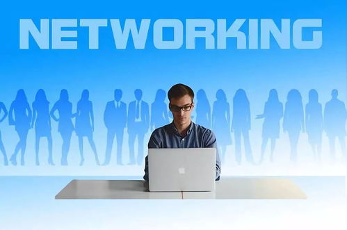 如何通過企業管理咨詢工作經歷申請加拿大雇主擔保移民 證明材料與策略解析
